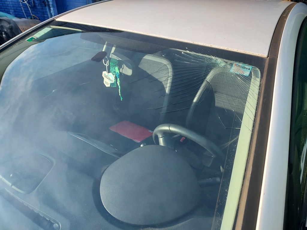 Pericial Daños Auto 1A